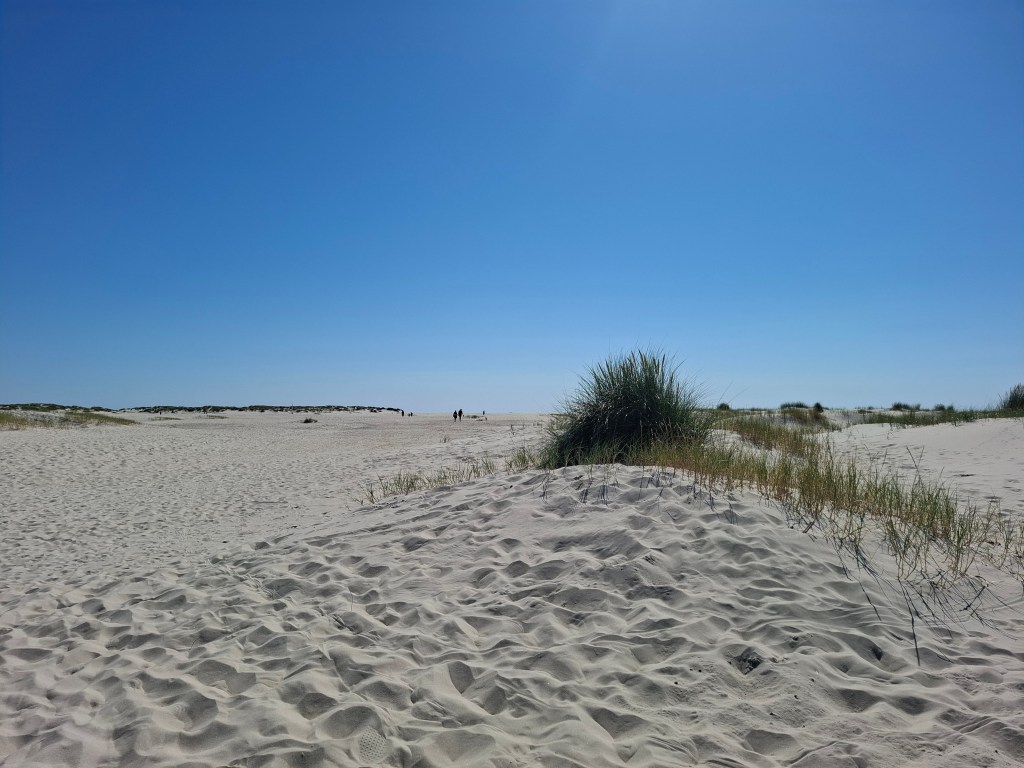 Tagesausflug von Sylt nach&nbsp;Amrum